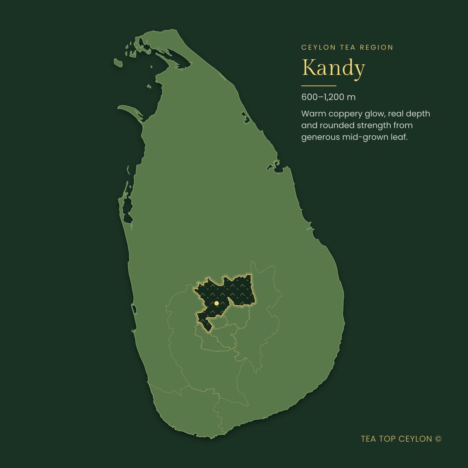 Map of Sri Lanka highlighting the Kandy tea region where Ceylon Gold is grown