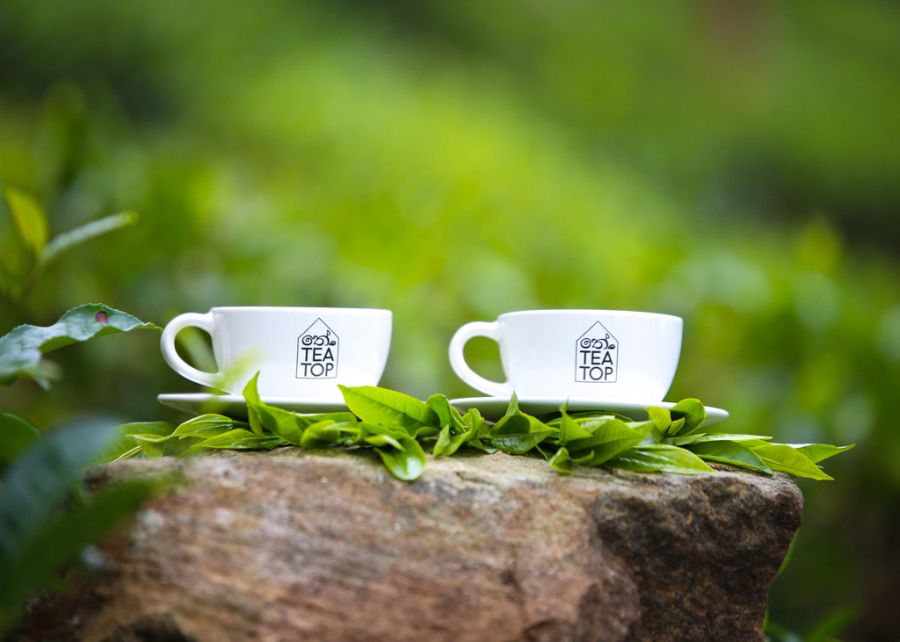 Idulgashinna Organic Tea plantation in Uva Sri Lanka